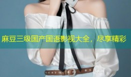 麻豆三级国产国语影视大全，尽享精彩