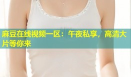 麻豆在线视频一区：午夜私享，高清大片等你来