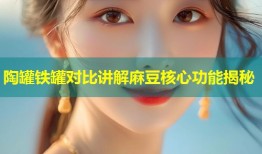 陶罐铁罐对比讲解麻豆核心功能揭秘