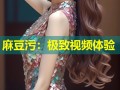麻豆污：极致视频体验