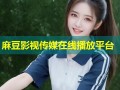 麻豆影视传媒在线播放平台