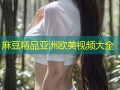 麻豆精品亚洲欧美视频大全