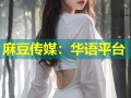 麻豆传媒：华语平台