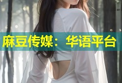 麻豆传媒：华语平台