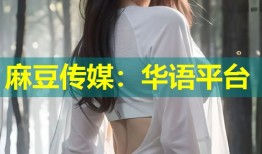麻豆传媒：华语平台