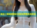 麻豆三级视频精彩合集免费看高清体验