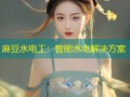 麻豆水电工：智能水电解决方案