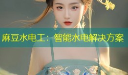 麻豆水电工：智能水电解决方案