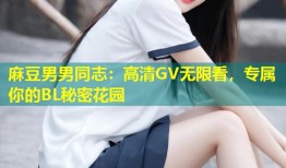 麻豆男男同志：高清GV无限看，专属你的BL秘密花园