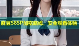 麻豆S8SP加密路线，安全观看体验