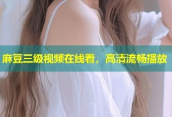 麻豆三级视频在线看，高清流畅播放