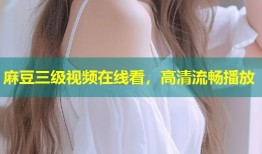 麻豆三级视频在线看，高清流畅播放