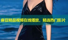 麻豆精品视频在线播放，精选热门影片