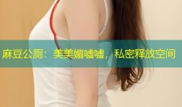 麻豆公厕：美美媚嘘嘘，私密释放空间