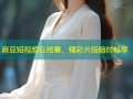 麻豆短视频在线看，精彩片段随时畅享