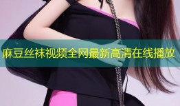 麻豆丝袜视频全网最新高清在线播放
