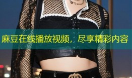 麻豆在线播放视频，尽享精彩内容