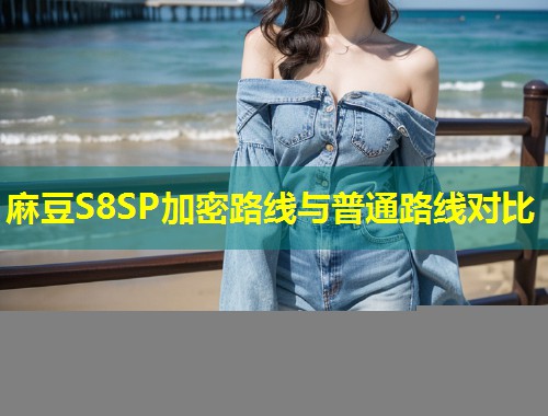 麻豆S8SP加密路线与普通路线对比