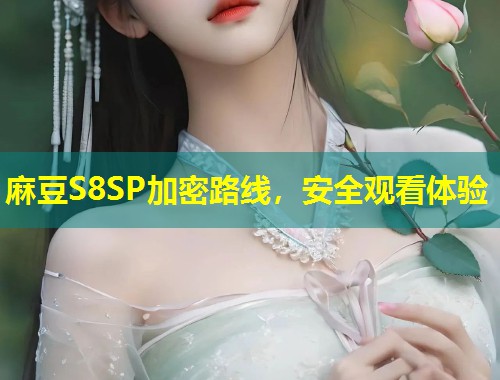 麻豆S8SP加密路线，安全观看体验