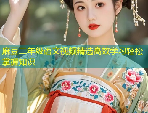 麻豆二年级语文视频精选高效学习轻松掌握知识