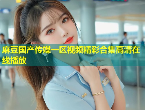麻豆国产传媒一区视频精彩合集高清在线播放