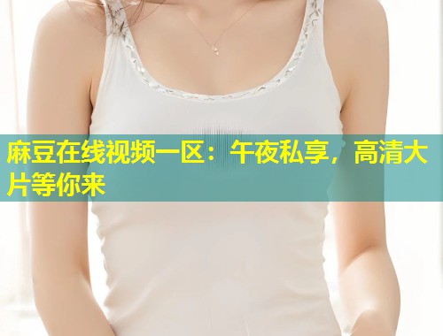 麻豆在线视频一区：午夜私享，高清大片等你来