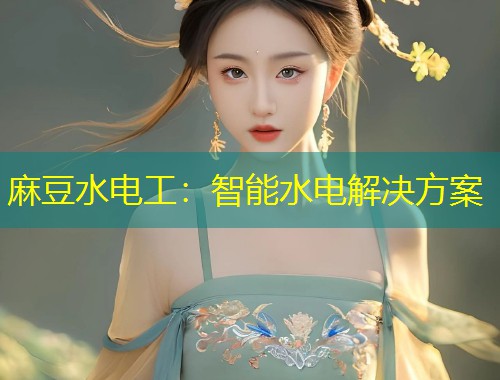 麻豆水电工：智能水电解决方案