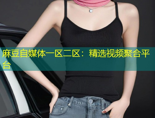 麻豆自媒体一区二区：精选视频聚合平台